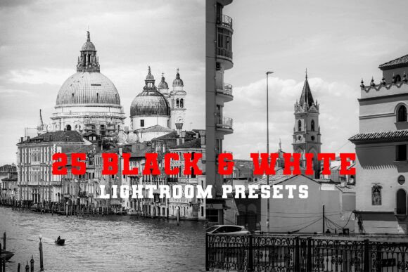 Download 25 Black &amp; White Lightroom Presets - Premium Resources